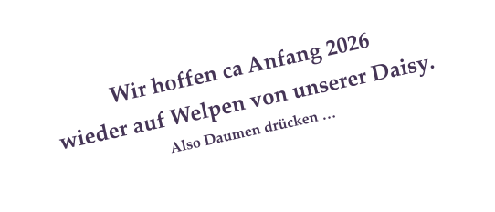 Wir hoffen ca Anfang 2026  wieder auf Welpen von unserer Daisy.  Also Daumen drcken 