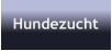 Hundezucht